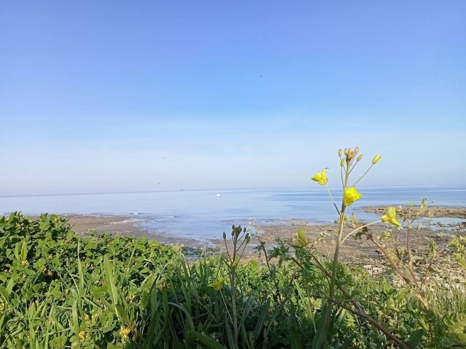 Soleil D'Opale Et Son Grand Jardin Villa Wimereux Luaran gambar